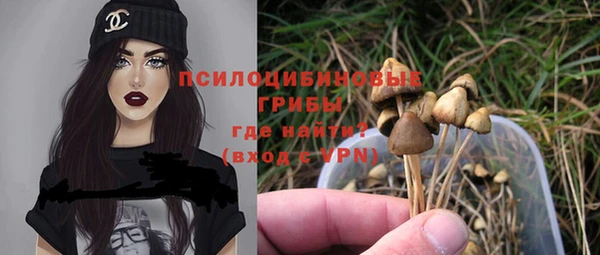 гидропоника Балахна