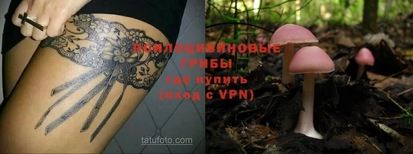 гидропоника Балахна