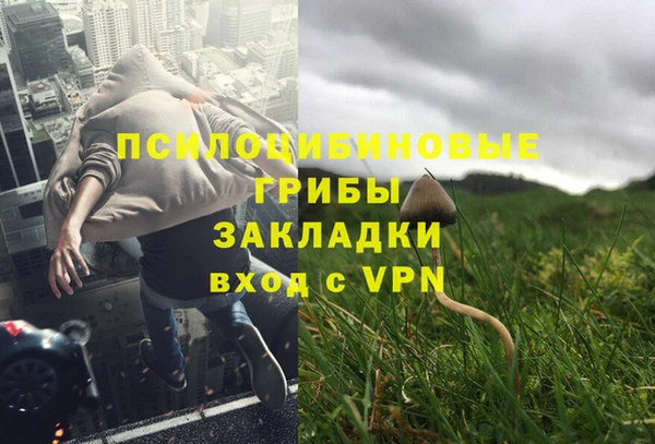 дживик Семилуки
