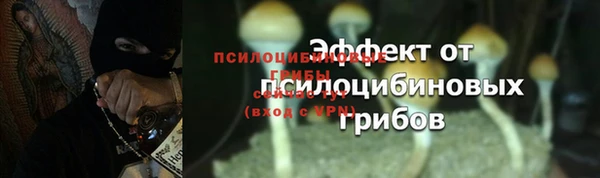 гидропоника Балахна